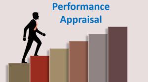Stages of a Performance Appraisal Program