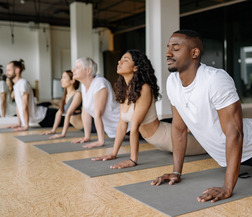 wellness programs